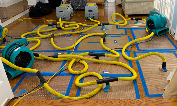 Professional Basement Flood Cleanup technician working in Ocean Shores, WA